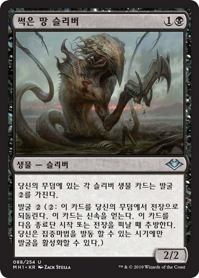 썩은 땅 슬리버