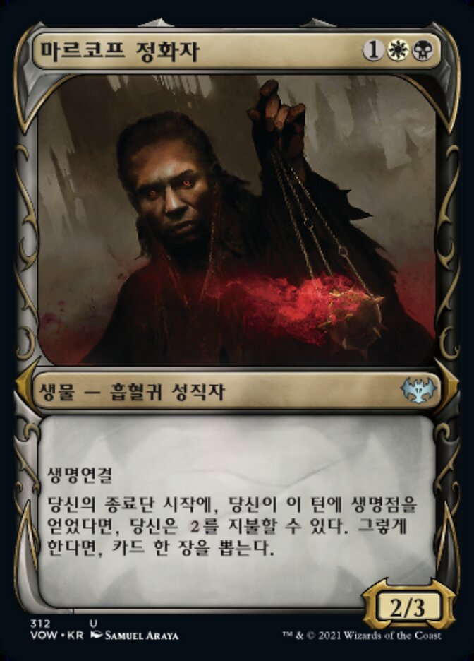 마르코프 정화자