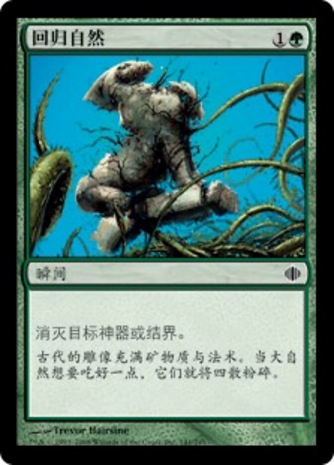 回归自然