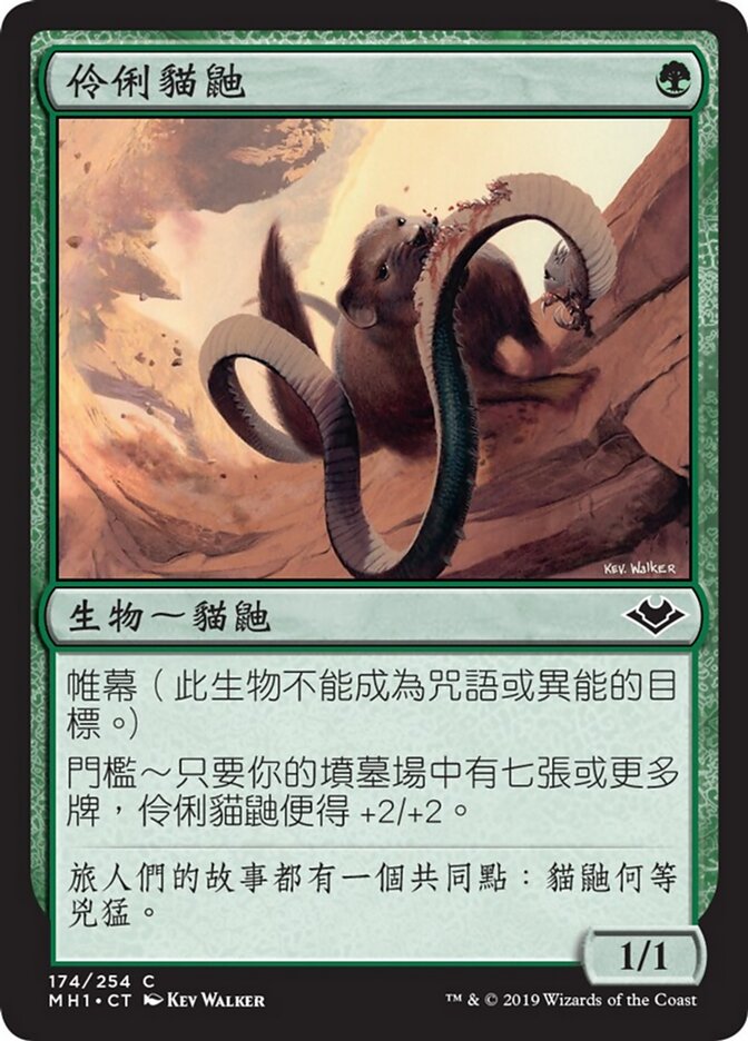 伶俐貓鼬