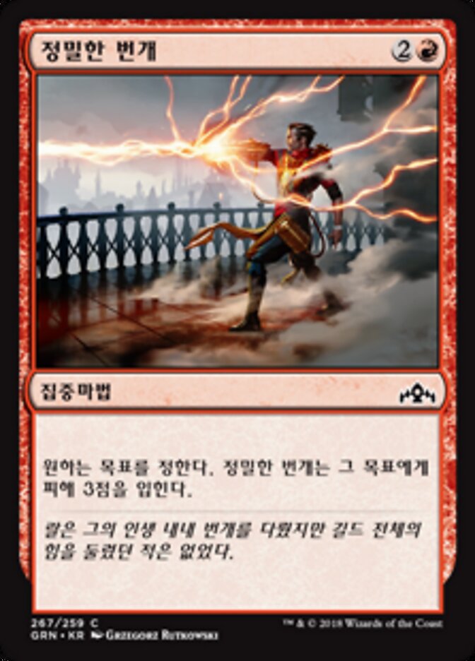 정밀한 번개