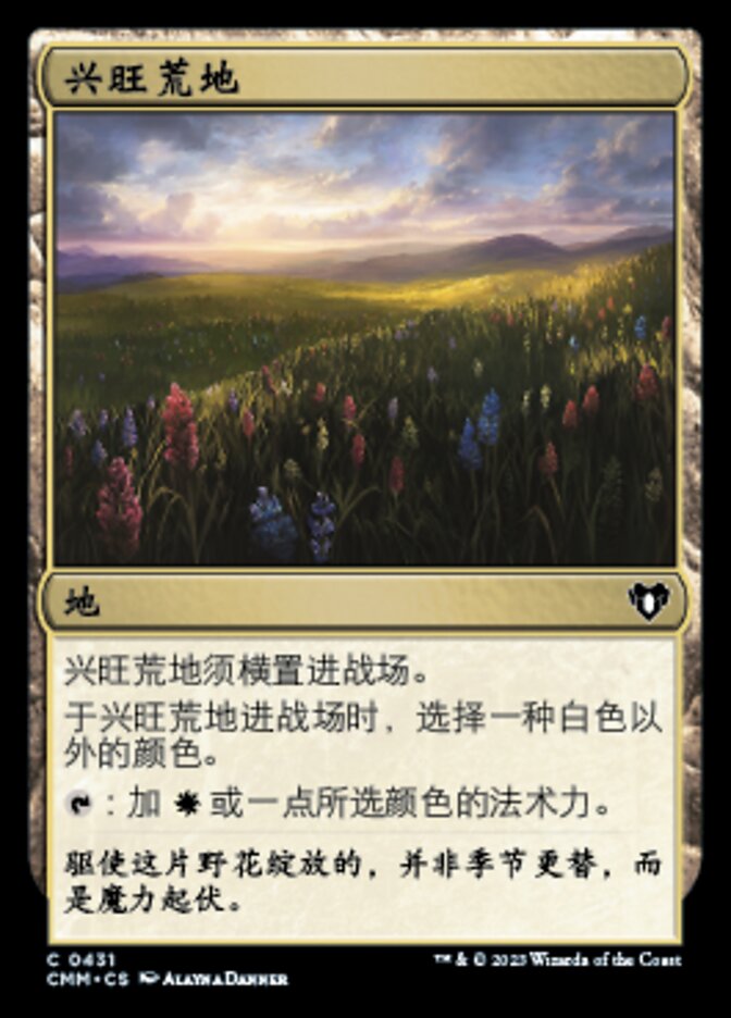兴旺荒地