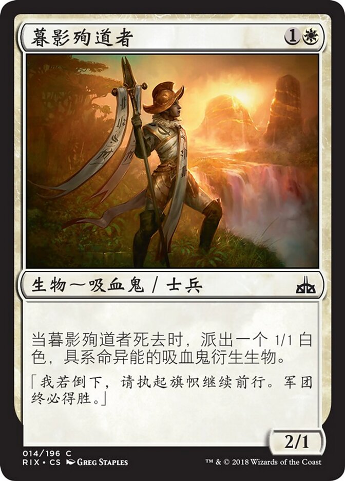 暮影殉道者