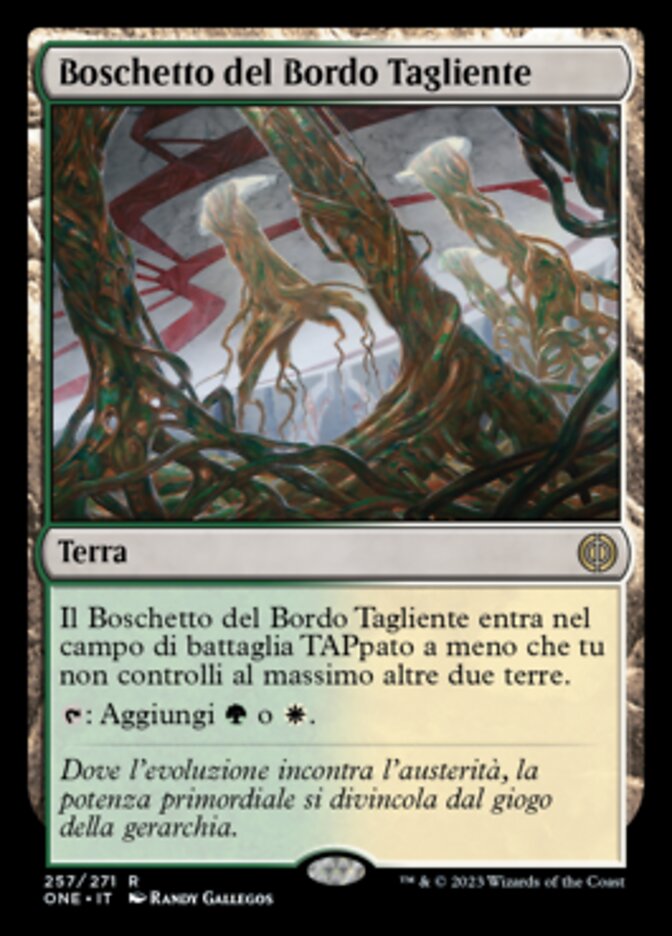 Boschetto del Bordo Tagliente