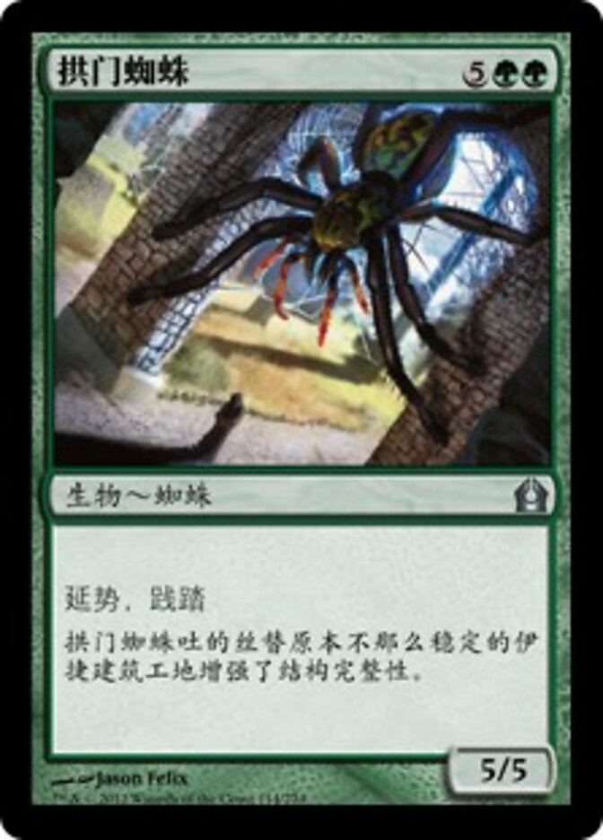 拱门蜘蛛