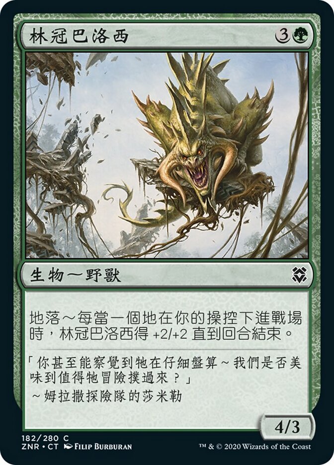 林冠巴洛西