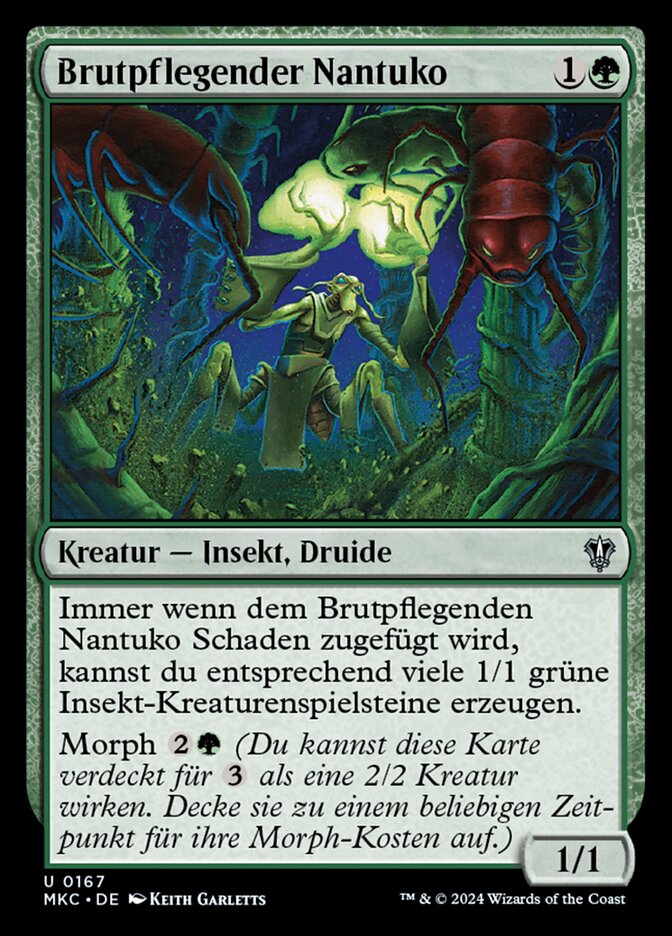 Brutpflegender Nantuko