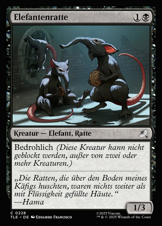Elefantenratte