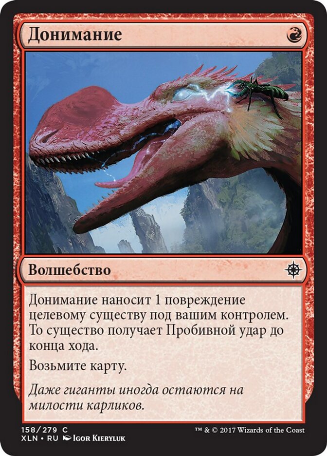 Донимание