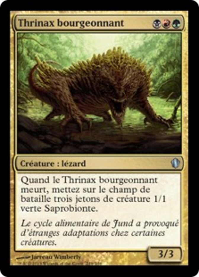 Thrinax bourgeonnant