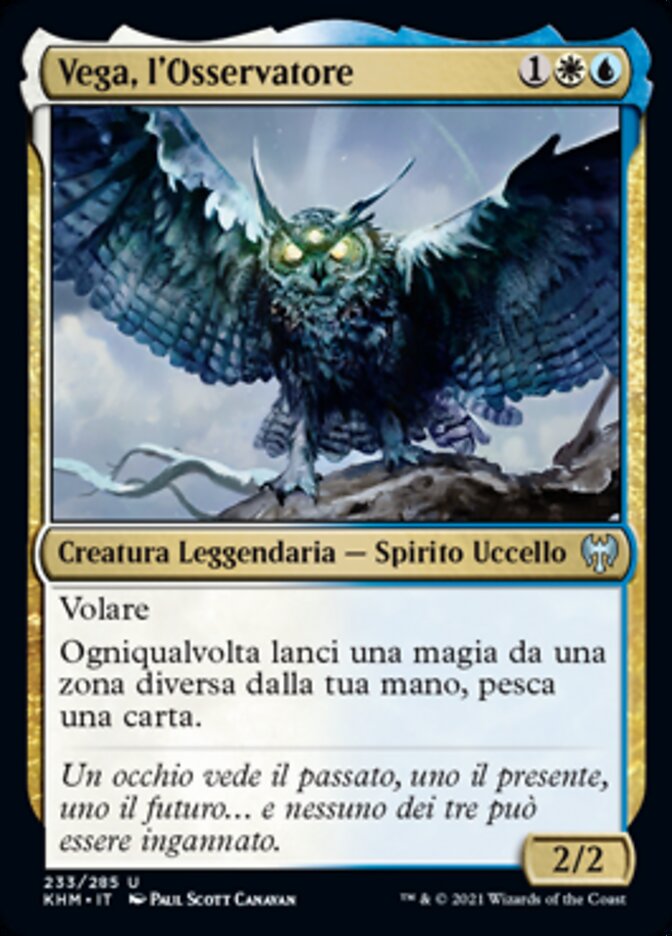 Vega, l'Osservatore