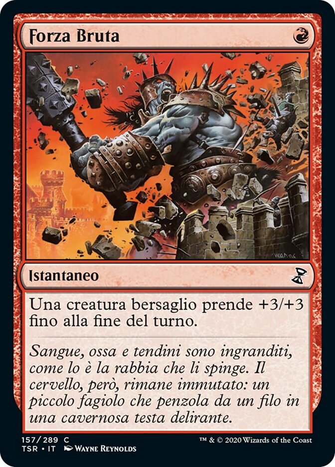 Forza Bruta
