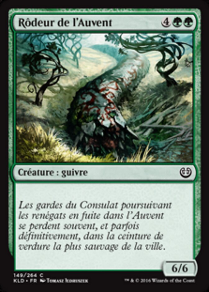 Rôdeur de l'Auvent