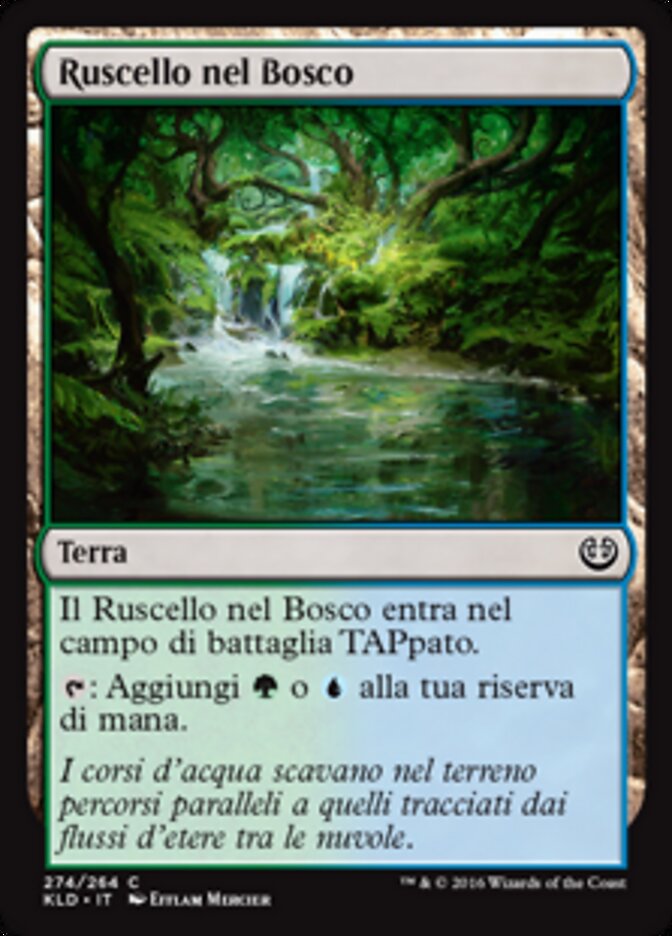Ruscello nel Bosco