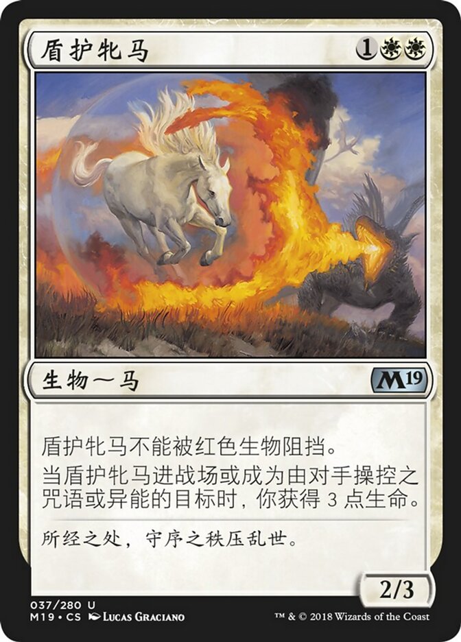 盾护牝马