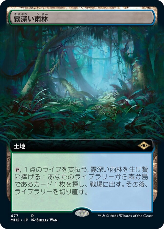 霧深い雨林