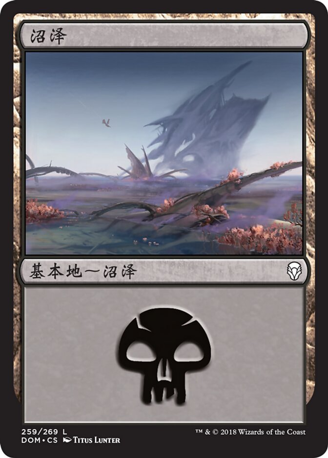沼泽