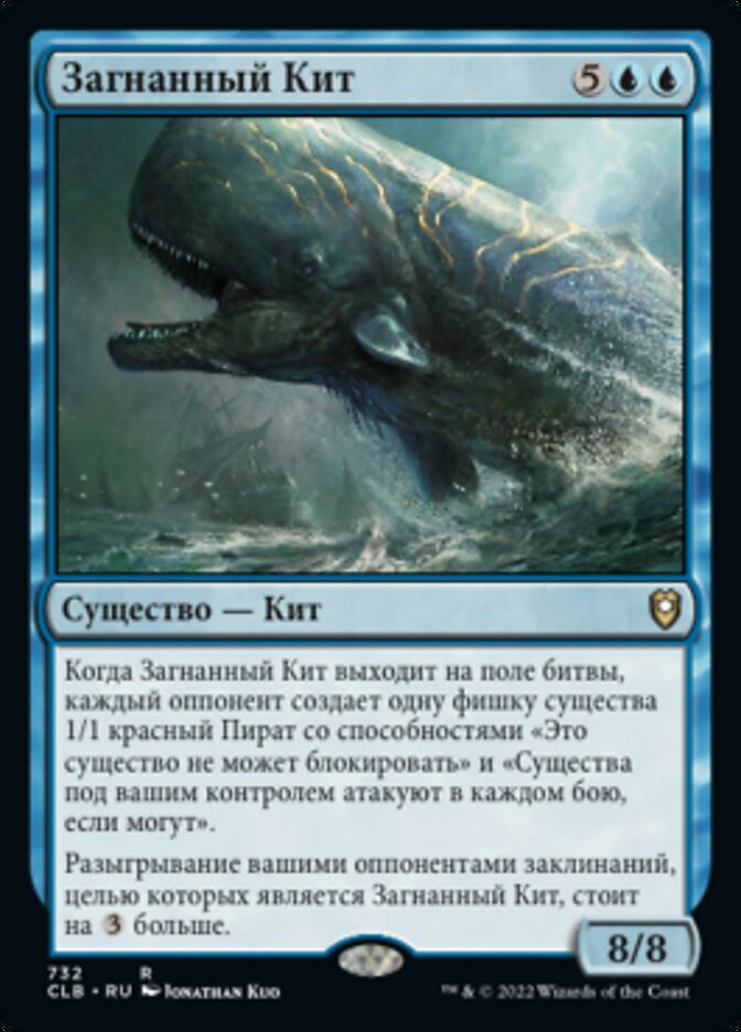 Загнанный Кит