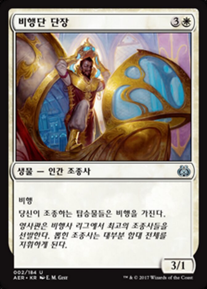 비행단 단장