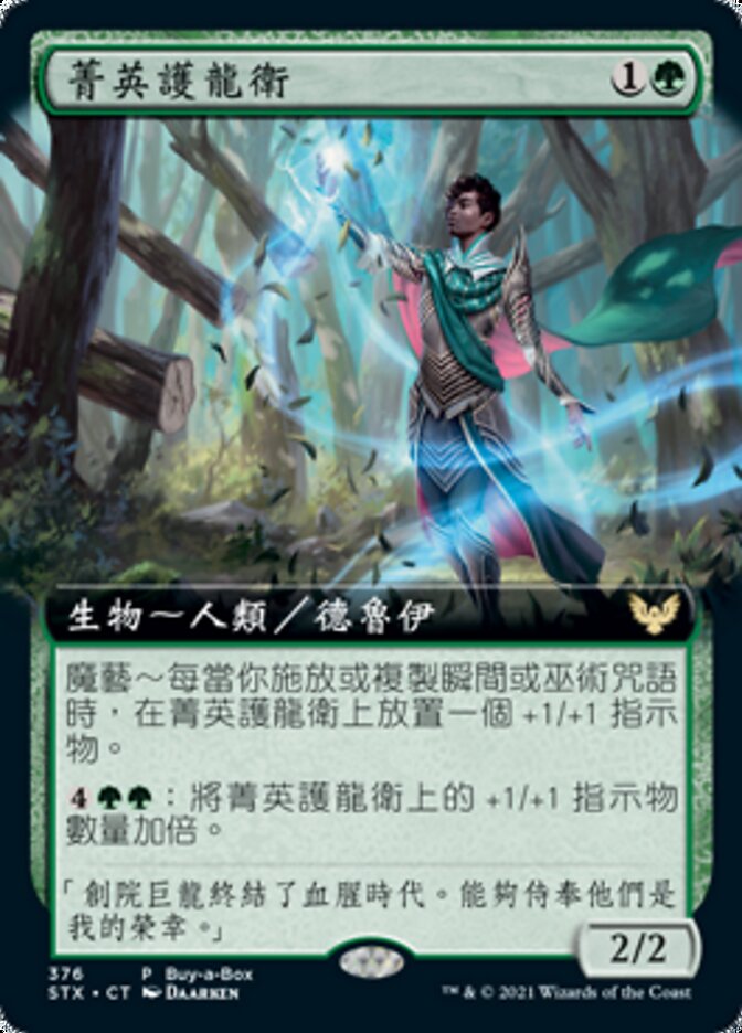 菁英護龍衛
