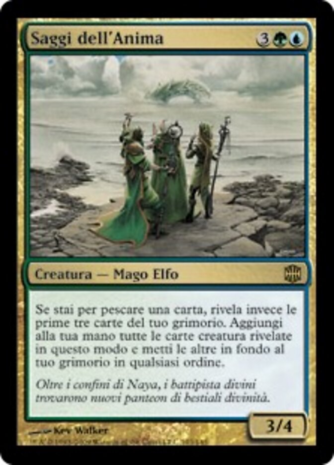 Saggi dell'Anima
