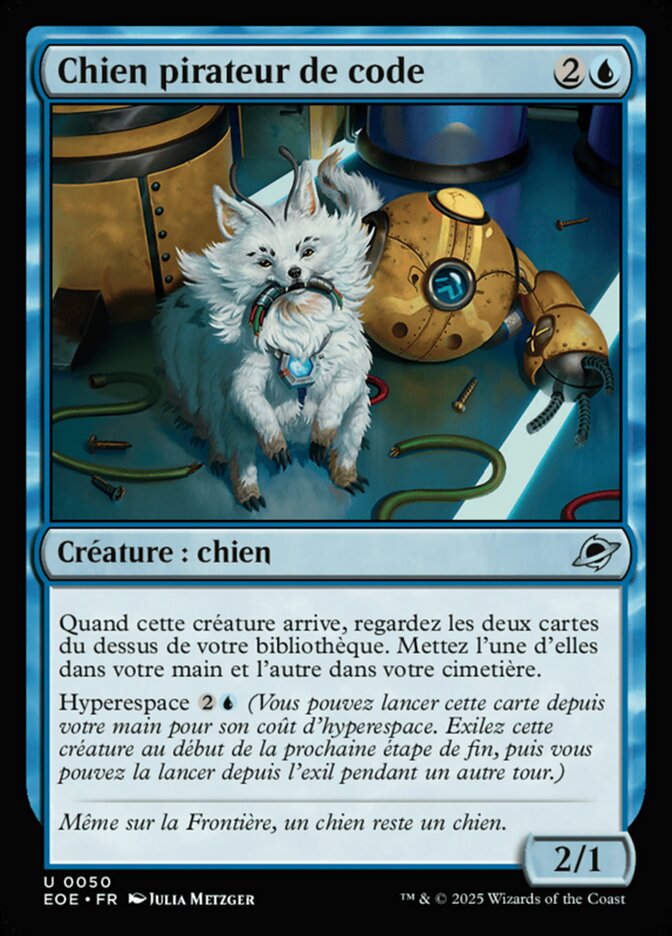 Chien pirateur de code