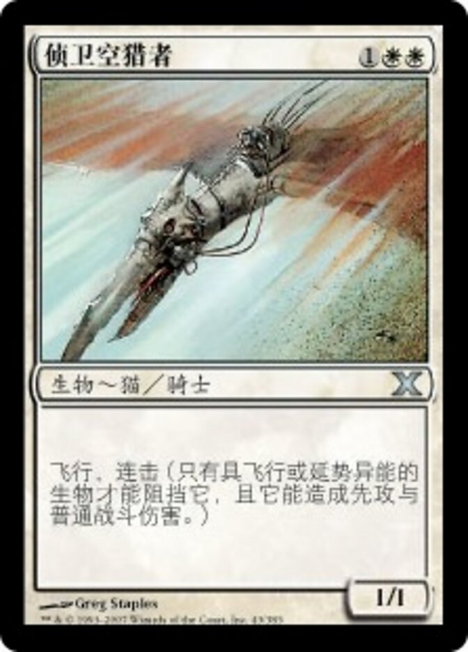 侦卫空猎者