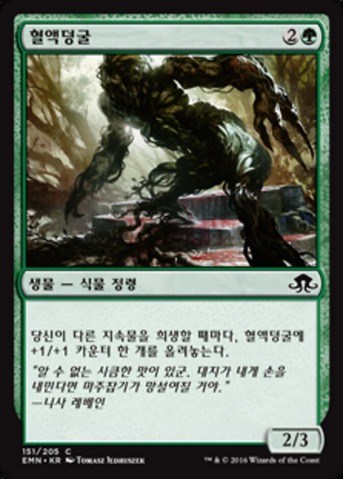 혈액덩굴