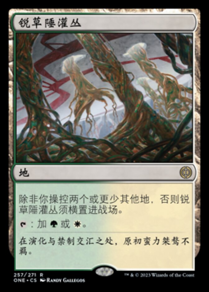 锐草陲灌丛