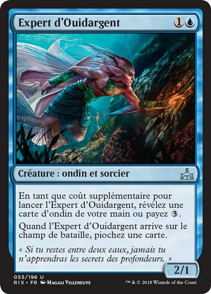 Expert d'Ouidargent