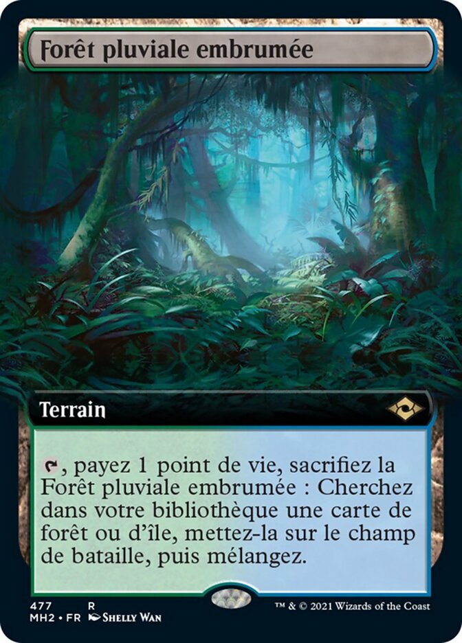 Forêt pluviale embrumée
