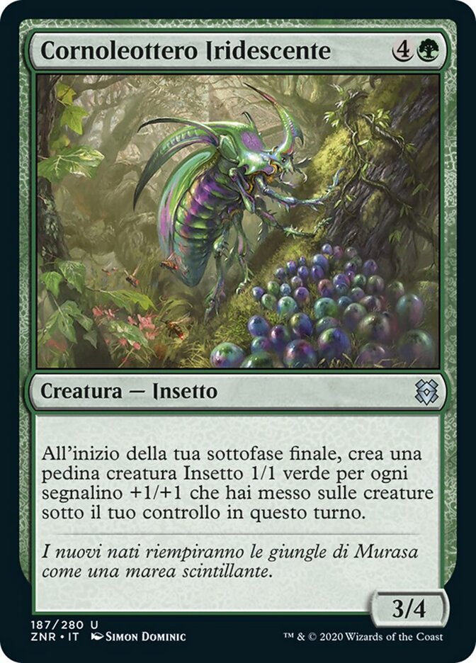 Cornoleottero Iridescente