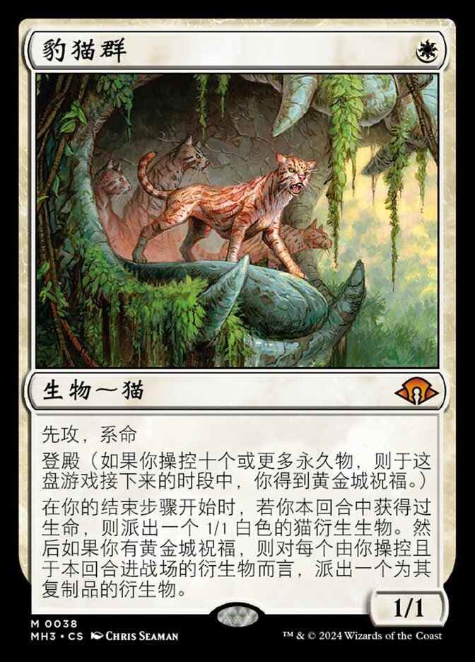 豹猫群
