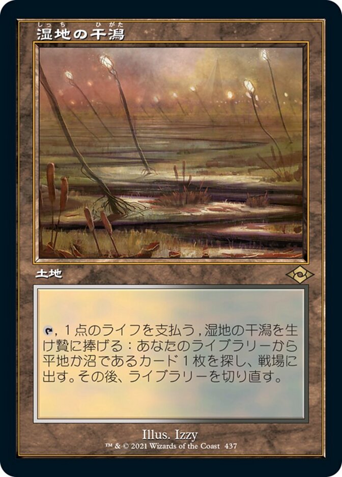 湿地の干潟