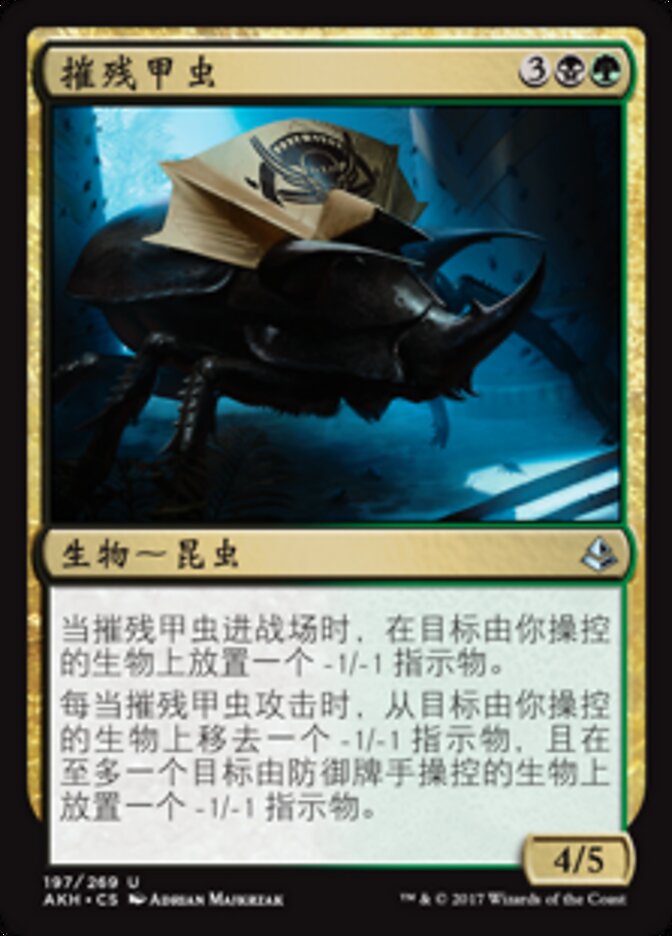 摧残甲虫