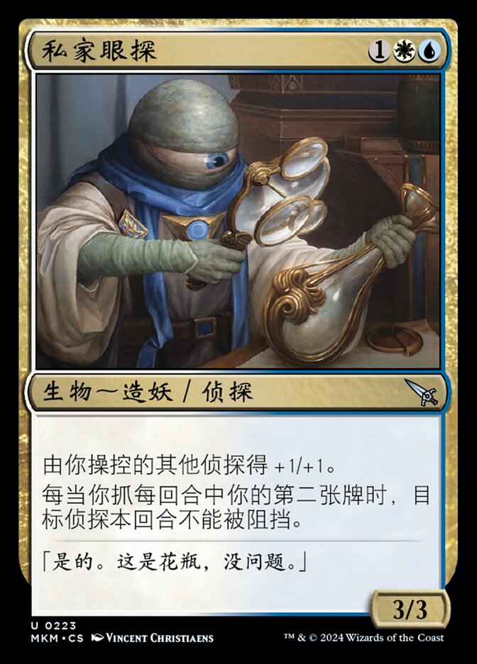 私家眼探