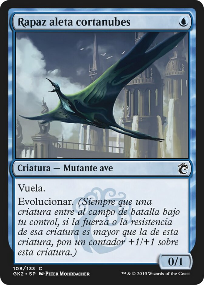 Rapaz aleta cortanubes