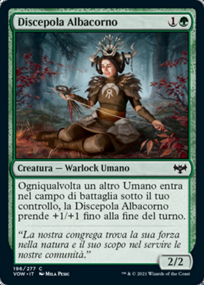 Discepola Albacorno