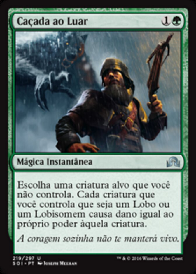 Caçada ao Luar