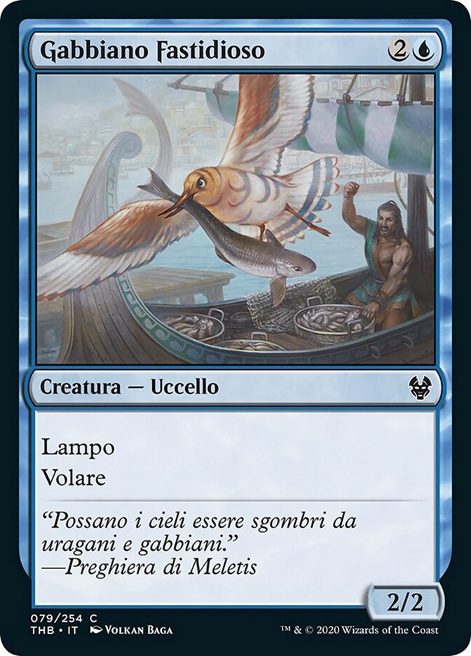 Gabbiano Fastidioso