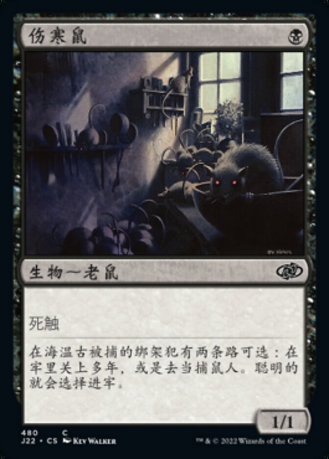 伤寒鼠