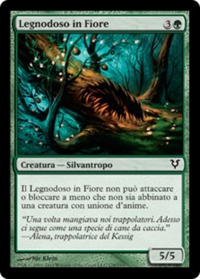 Legnodoso in Fiore