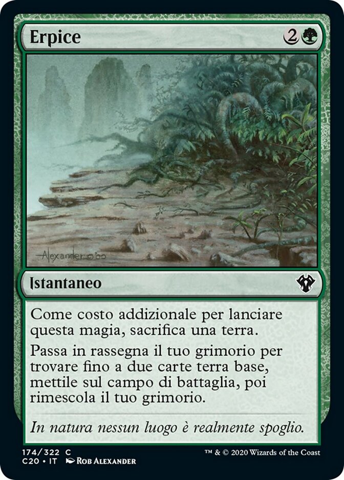 Erpice
