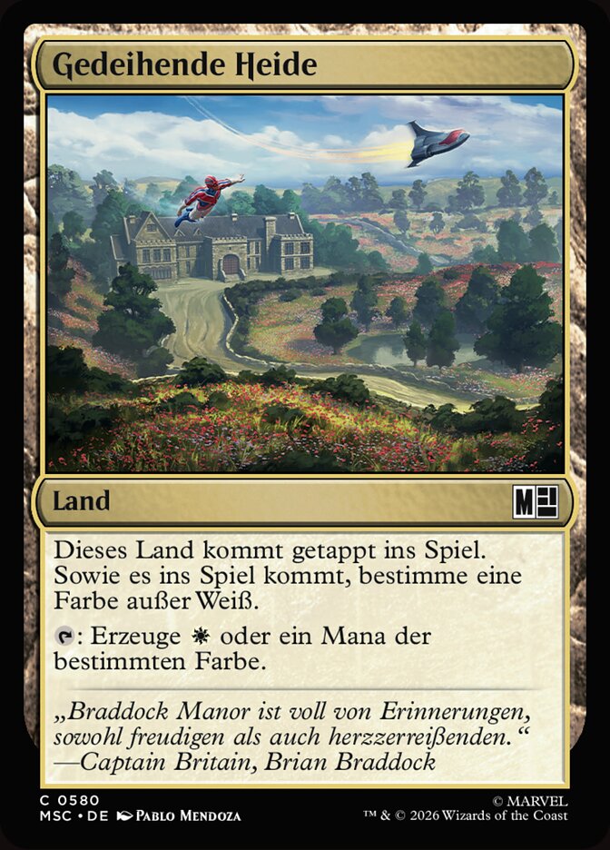 Gedeihende Heide