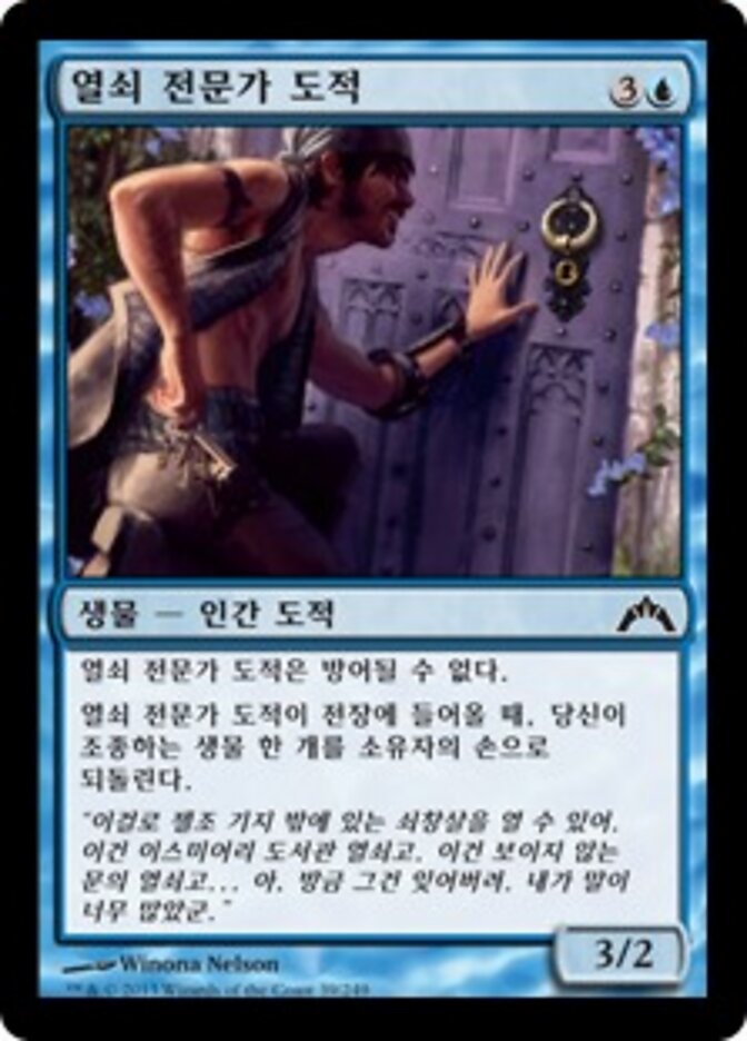 열쇠 전문가 도적