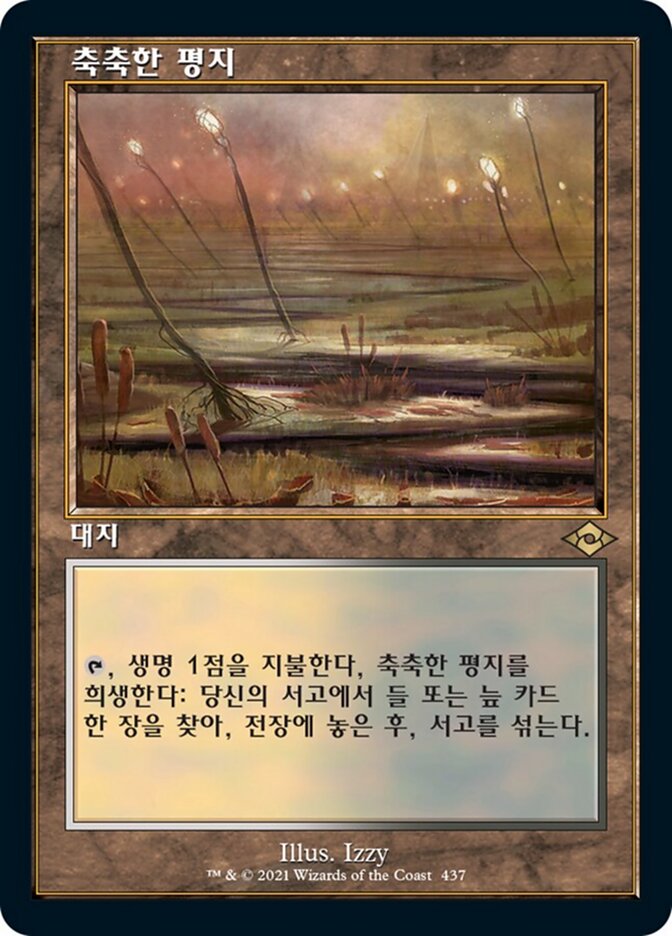 축축한 평지