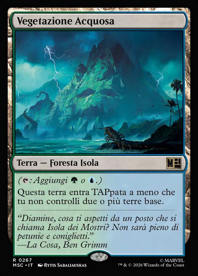 Vegetazione Acquosa