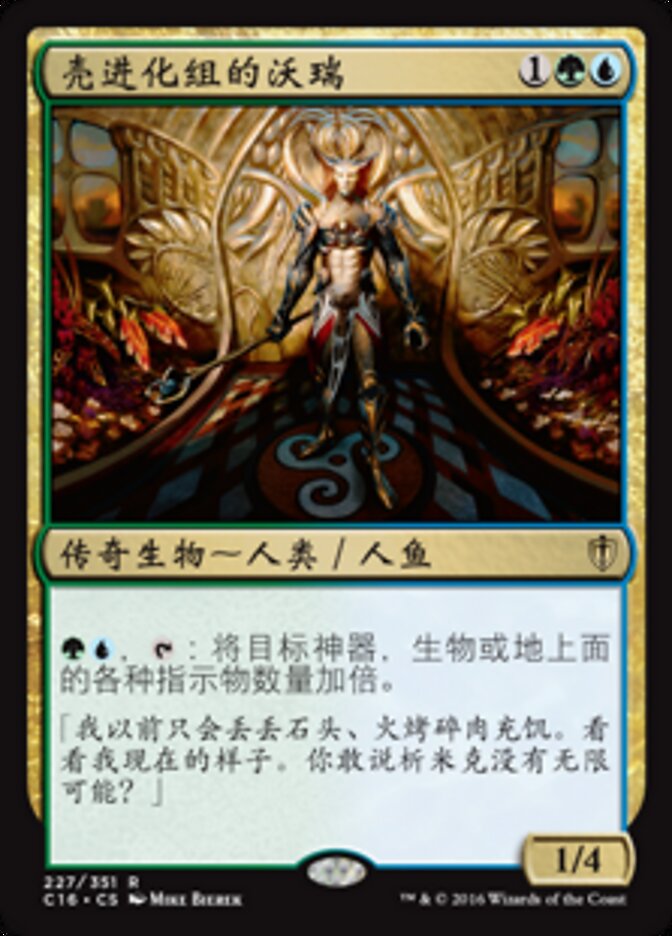 壳进化组的沃瑞