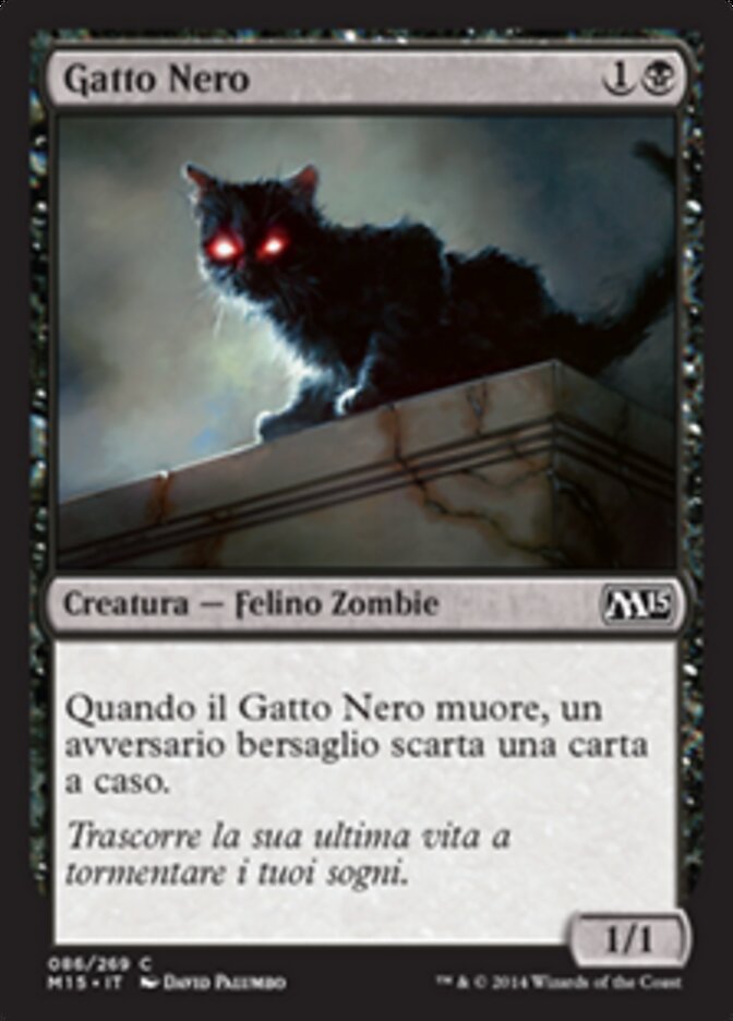 Gatto Nero
