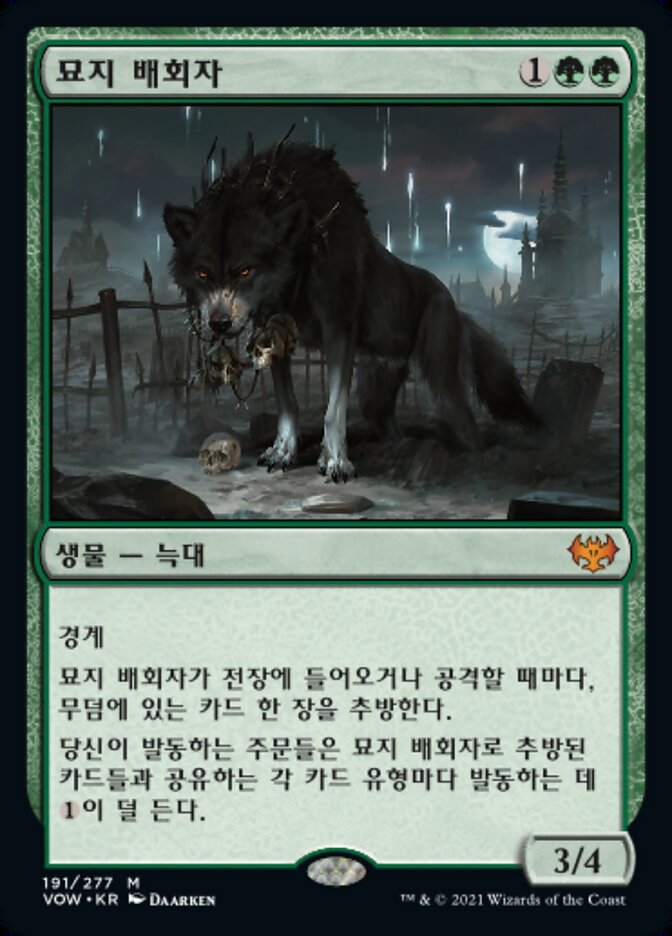 묘지 배회자
